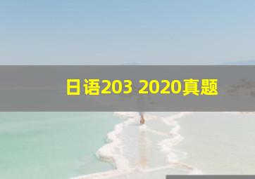 日语203 2020真题